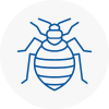 Bed Bug Extermination In Fawley