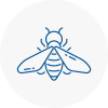 Bee Nest Removal Fawley