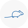 Mice Exterminators In Fawley