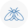 Moth Control Specialists In Fawley