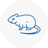 Rat Control Fawley