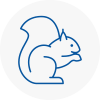 Fawley Rodent Removals